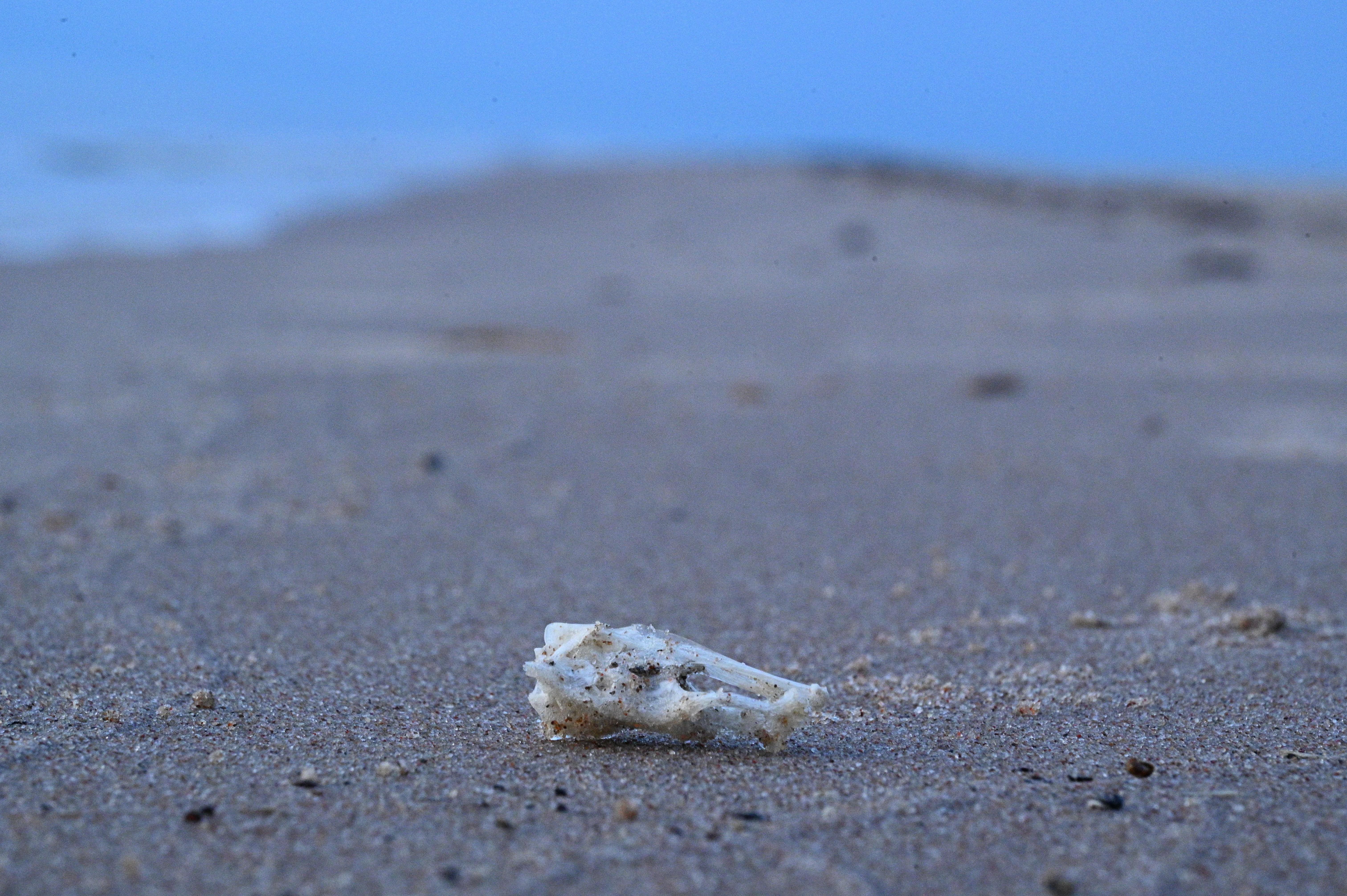 2025/07/09-14 - trip/DSC_0641.JPG